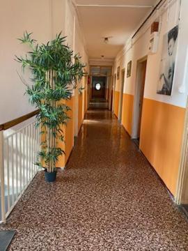 Centrum Panzio Kaposvár Extérieur photo